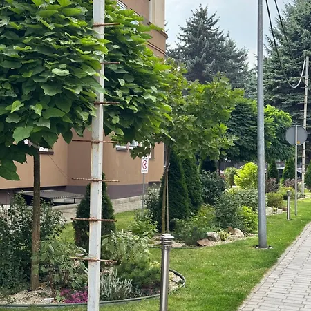 новобудова *