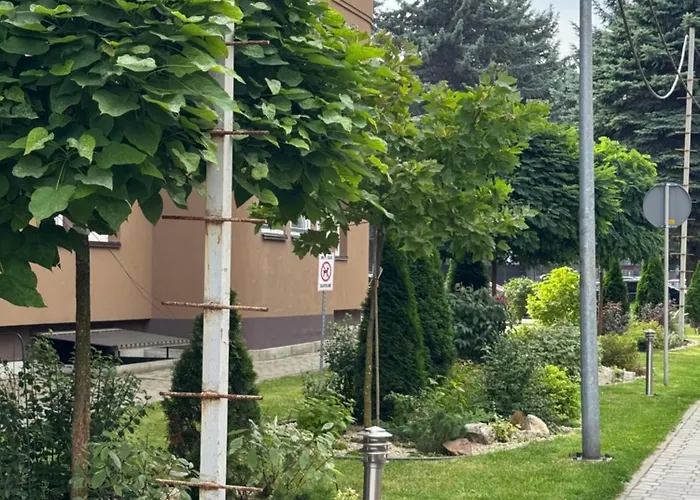 новобудова *