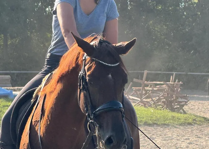 новобудова דירה *