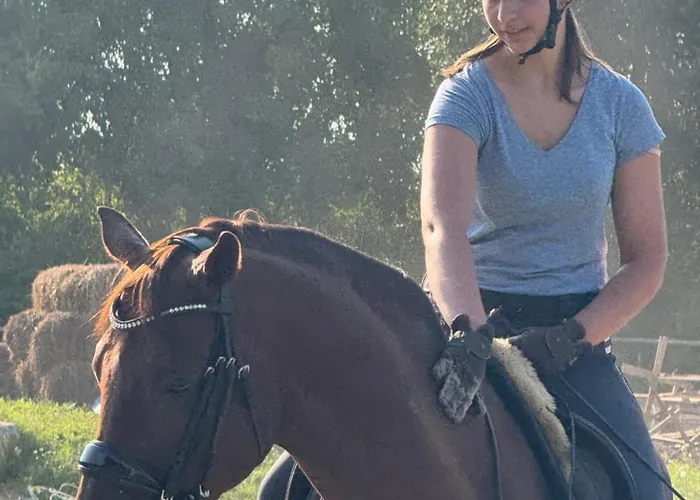 Apartamento новобудова Lviv